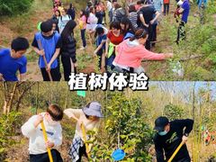 -沉浸北京·团建旅行·密室剧本杀·年会会议轰趴拓展