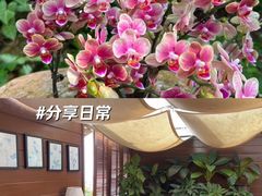 -亚龙湾国际玫瑰谷