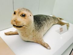 -国家自然博物馆