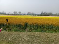 -中国天府农业博览园