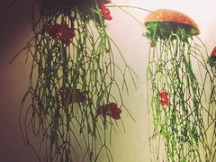 -Let's Relax Spa(Phuket 3rd Street)