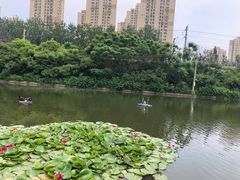 -前关湿地公园