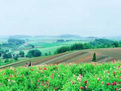 -富田农场