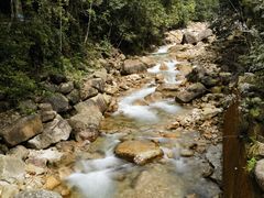 -姑婆山旅游区