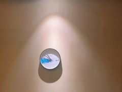 -鼎族怡华·指压·经络·疗愈SPA(紫荆店)