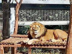 -昆明动物园