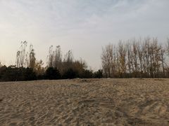 -东郊湿地公园