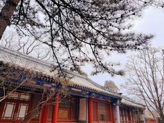 -潭柘寺景区