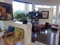 -莫内艺术岛海景咖啡