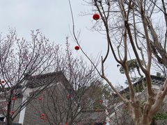 -武汉紫薇都市田园