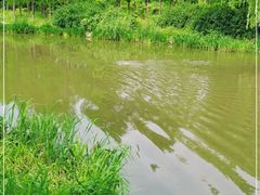 -新江湾城公园
