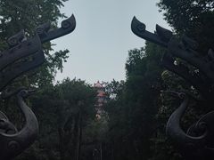 -东湖落雁景区