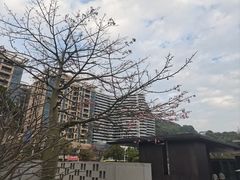 -深圳大梅沙京基洲际度假酒店