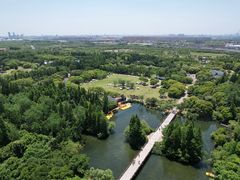 -上海滨江森林公园