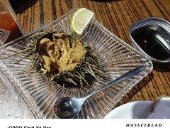 -蚝堡海鲜·威海菜·海肠捞饭·烧烤·亚洲吃蚝公司(幸福门店)