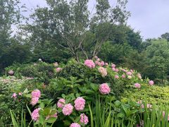 -杭州城北体育公园