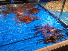 水产区-船歌·鱼水饺青岛菜(闽江二路店)