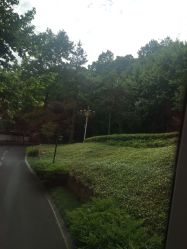 -东航云逸酒店·宴会厅