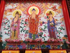 -龙口南山旅游景区