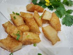 -無鱼鳞比