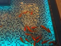 -浅深Cheersum(曹杨店)
