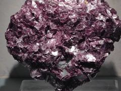 -甘肃地质博物馆