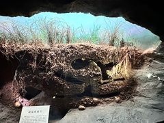 -浙江自然博物院(杭州馆)