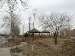 -东坝千亩湖公园