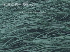 -金海湾滨江公园