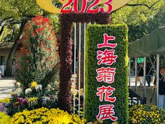 -上海共青森林公园