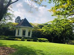 -新加坡植物园