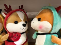 -柴迷FANS CLUB·柴犬狗咖·猫咖