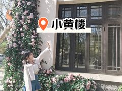 -也枫·小黄楼(南山路旗舰店)