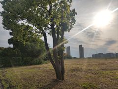 -平湖九龙山旅游度假区