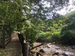 -广州市石门国家森林公园