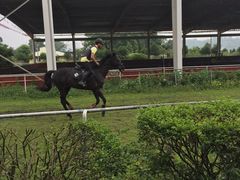 -重庆和泰马术俱乐部