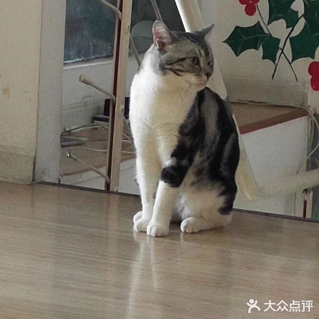 位于小寨东路一又二分之一公寓B座1009 大叔是个爱