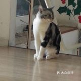 位于小寨东路一又二分之一公寓B座1009 大叔是个爱