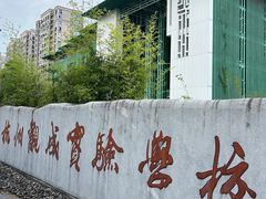 -杭州观成实验学校