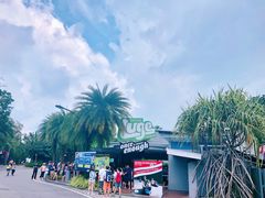 -圣淘沙天际线斜坡滑车