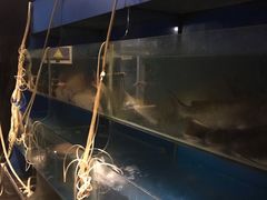 -不老溪贵州菜(广安门总店)