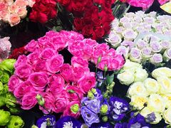 -双季花艺园艺市场(浦东店)