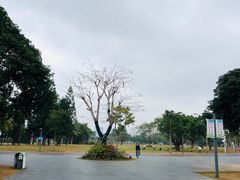 -万绿园