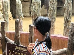 -长鹿旅游休博园