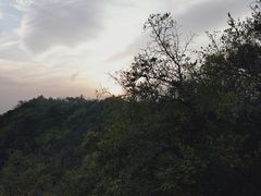 -香山公园