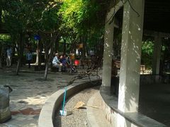 android_upload_pic-双拥公园