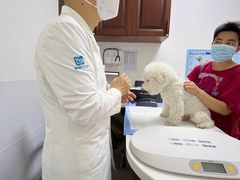 -美联众合动物医院·24h转诊中心
