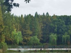 -黄兴公园