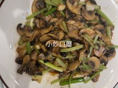-金蝉食府(维吉奥广场店)
