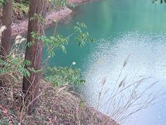 -红花湖景区